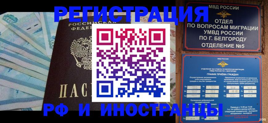 временная регистрация недорого в Видном